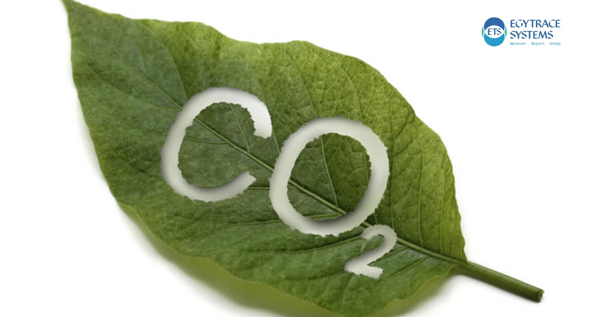 CO2e