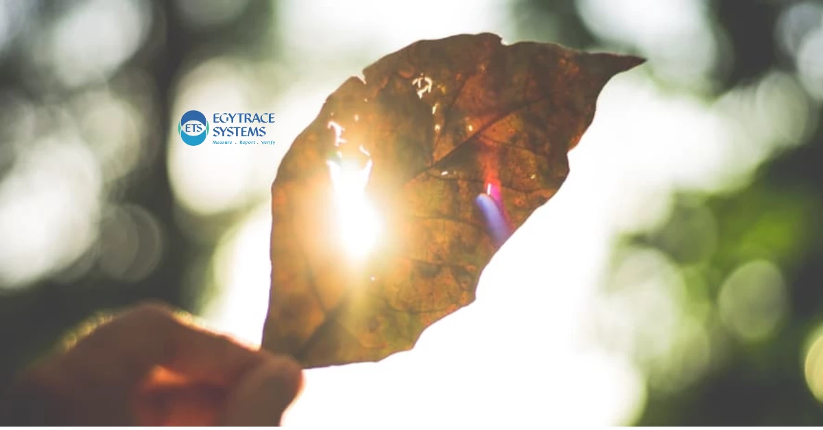 What Are Emissions Categories?