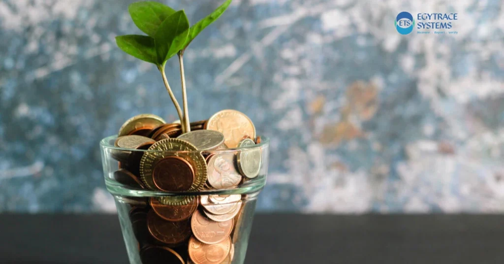 Social Cost of Carbon